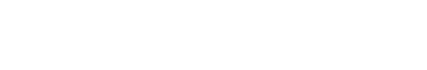 馬斯克資安顧問
